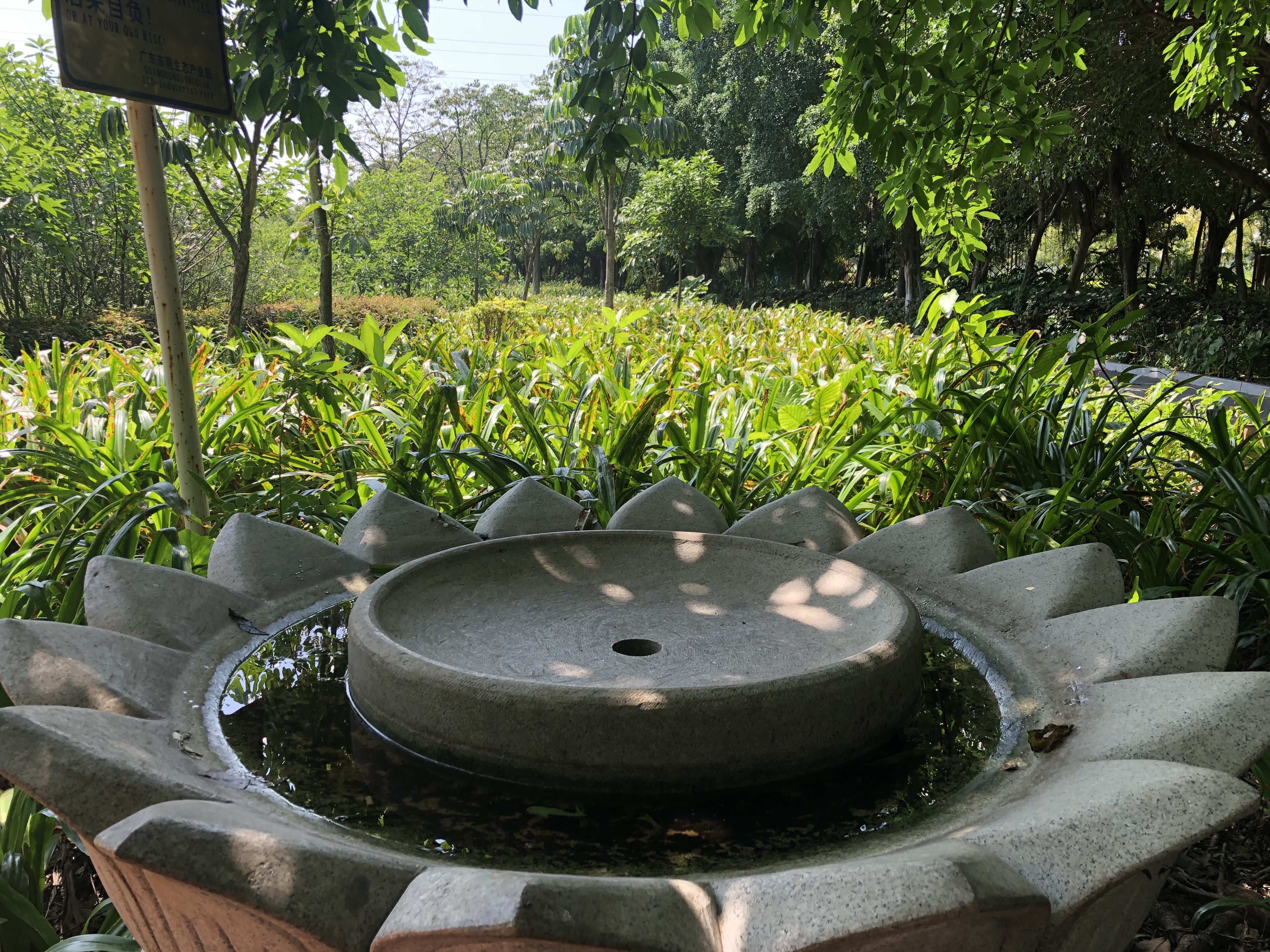 东莞适合带小朋友去的公园,东莞哪些公园适合带孩子们玩