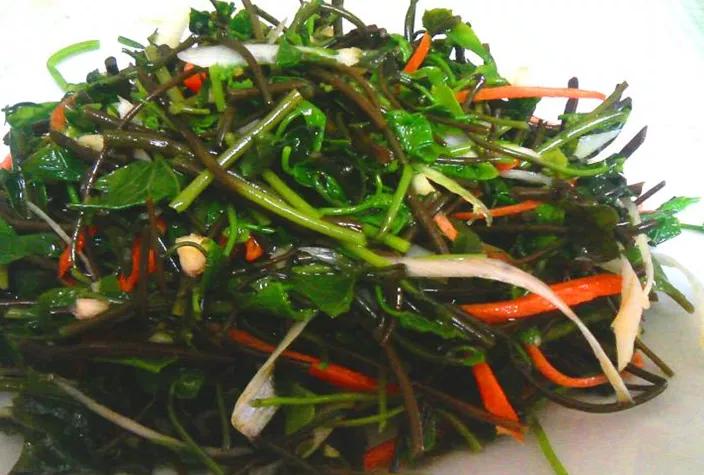 离西安近的秦岭山,西安秦岭九寨沟