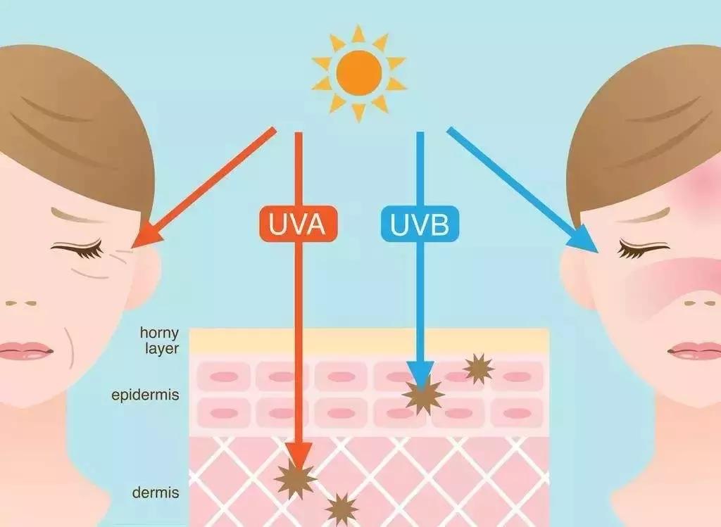 夏天不想晒黑这份防晒攻略请收好,防晒的小tips