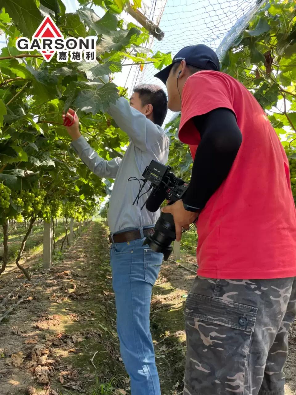 嘉施利抖音,嘉施利化肥有限公司视频