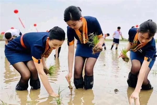 主动要求可以享受空姐你不知道的“服务”