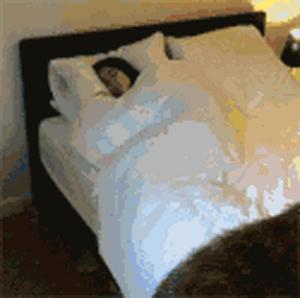 2020安徽宿州大雪暴雪,刚刚宣城发布暴雪预警