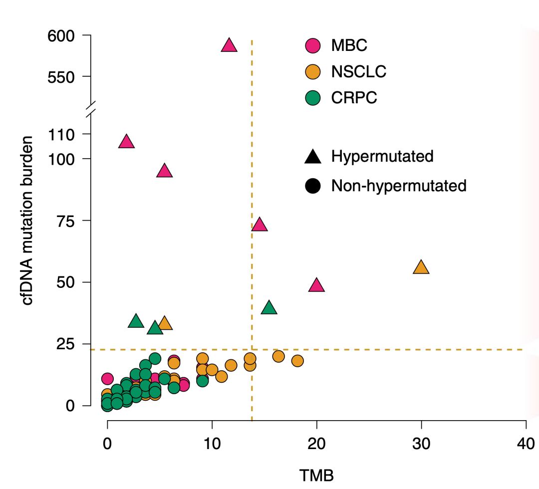 液体活检检测到的很多突变或不来自癌细胞，而是血液中的白细胞