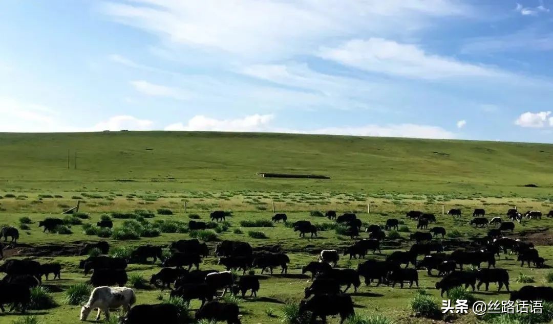 春暖花开等你来赏花,春暖花开等你来赏花原唱视频