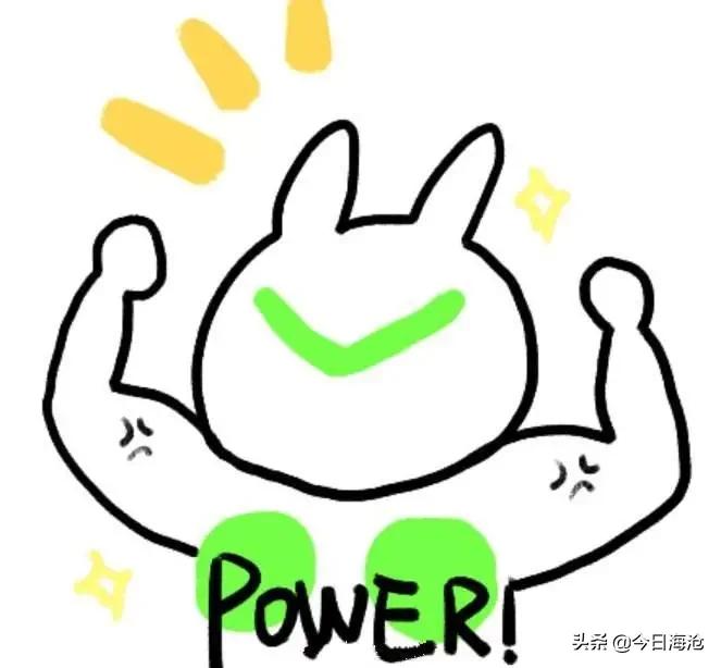 厦门鹭江新城小学,厦门市今年新建小学有哪些