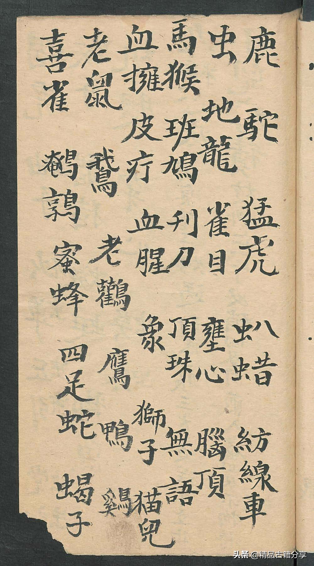 民间中医古籍书籍大全,民间看病书