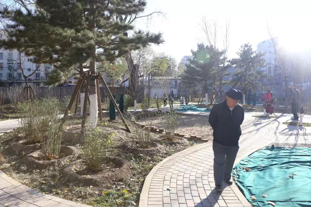 西城新建口袋公园,打造口袋公园绿地