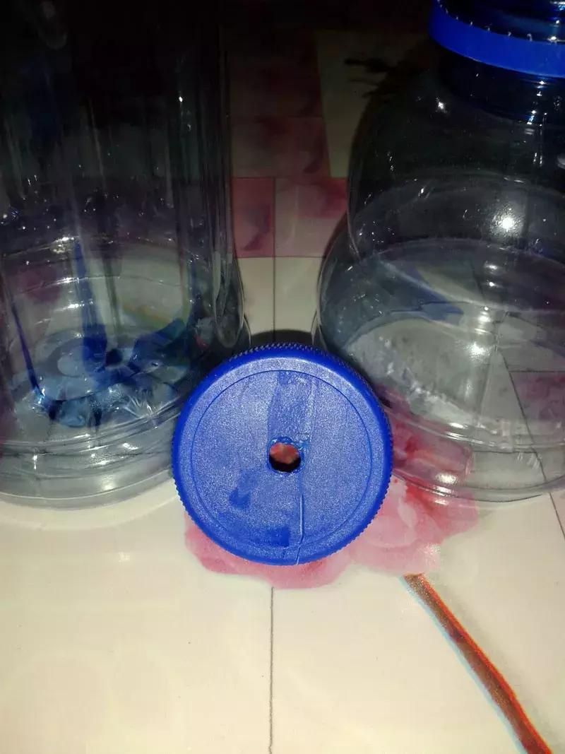 吊兰绿萝花盆制作,用塑料瓶做绿萝吊兰花瓶