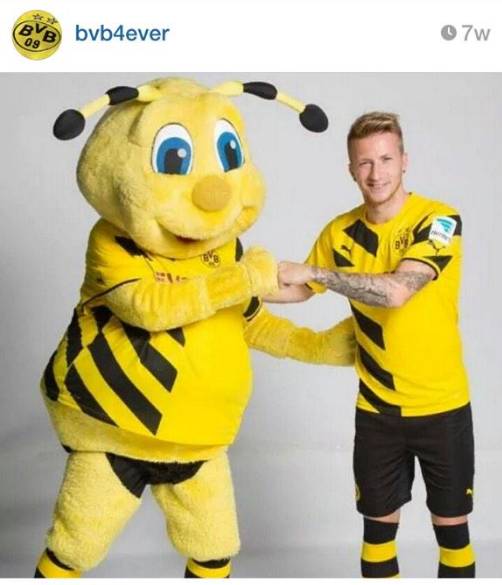 「科普」五大联赛复赛第一家！作为非德甲球迷需要知道哪些常识？