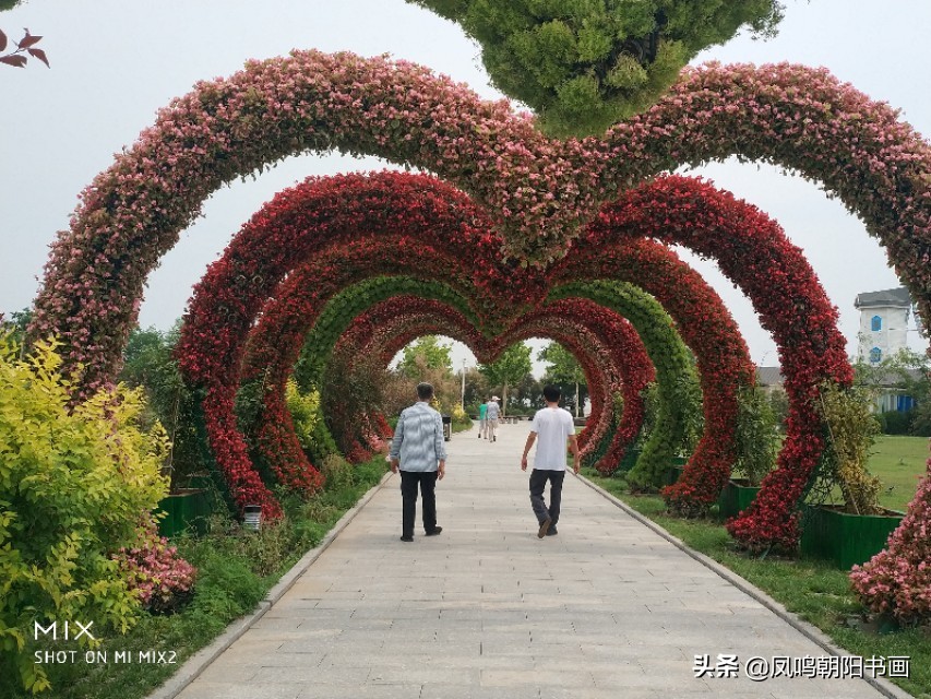 北戴河鸽子窝公园旅游攻略,北戴河鸽子窝一日游