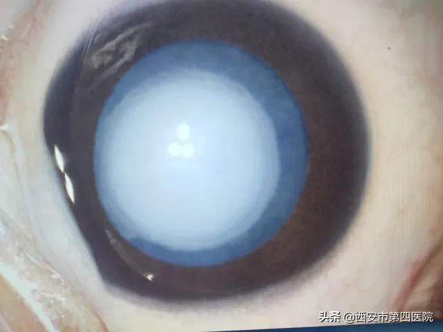 硬核技术试验成功了吗,硬核技术