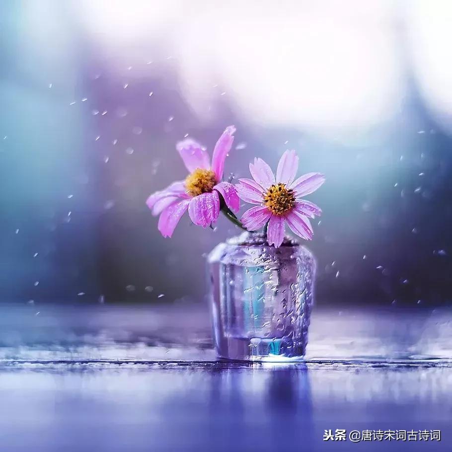 快乐是什么最有诗意的30个答案,如何用古语回答快乐的感受