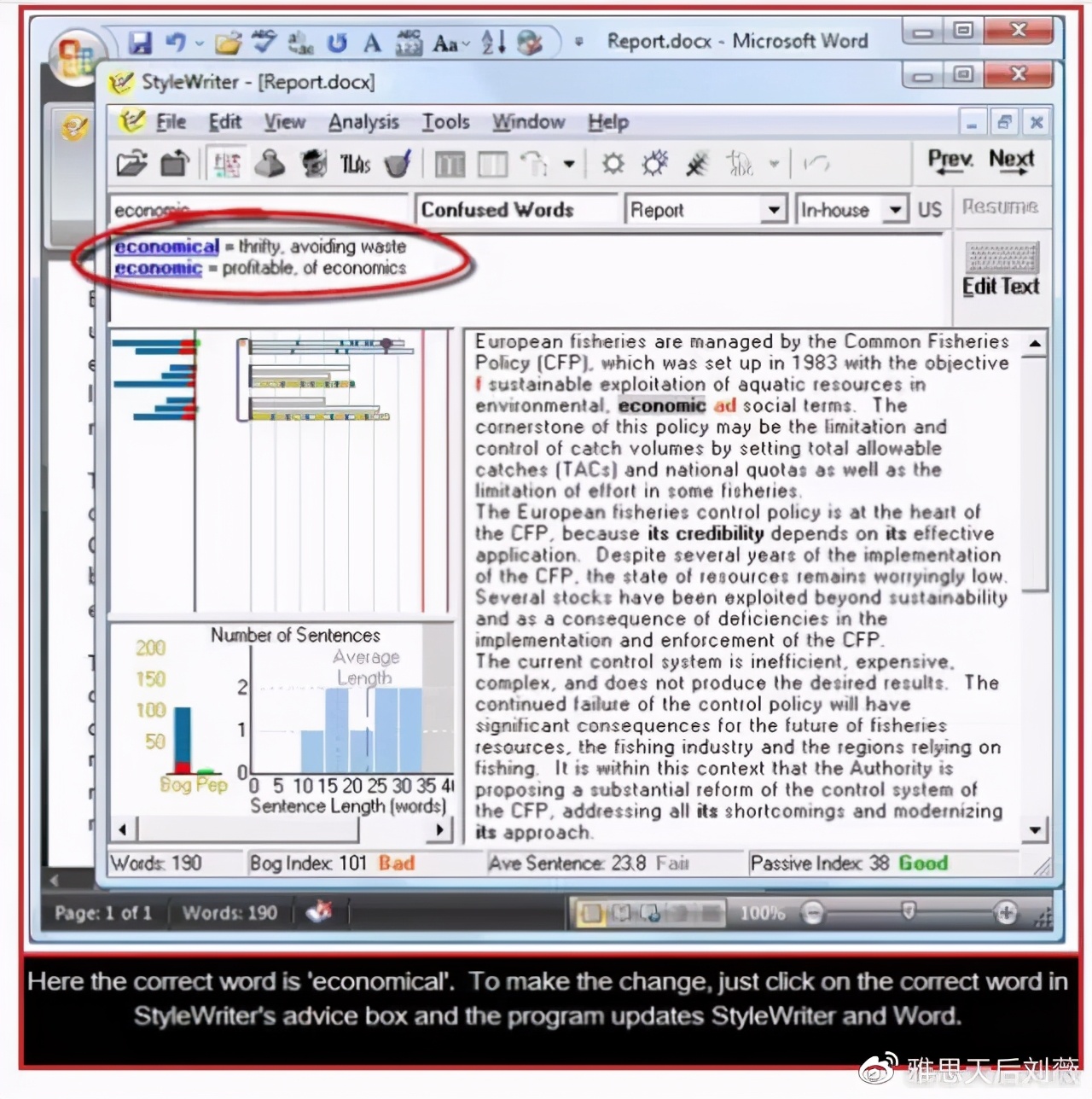 高效英语语法学习辅助工具,检查英语语法纠错的软件