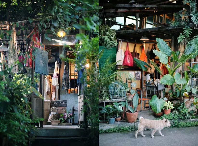 在泰国体验出家人生活,在泰国体验岛民生活