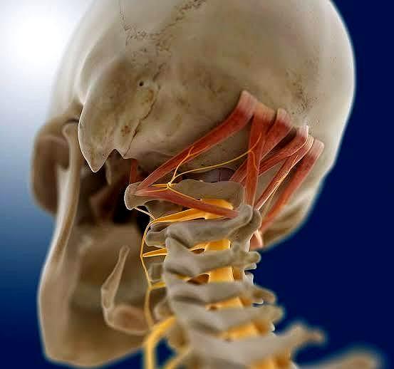 头晕脑胀失眠多梦吃什么药调理,头晕失眠的最佳治疗方法