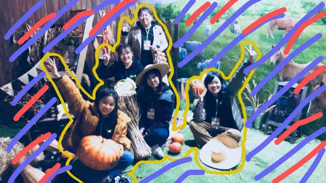 有机食品为什么更好吃,有机食品为什么那么贵