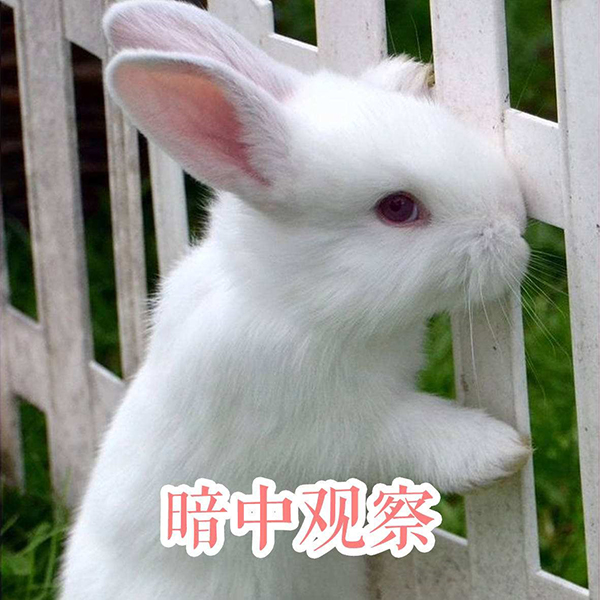 与兔有关的歇后语兔子不吃窝边草,兔子不吃窝边草的歇后语