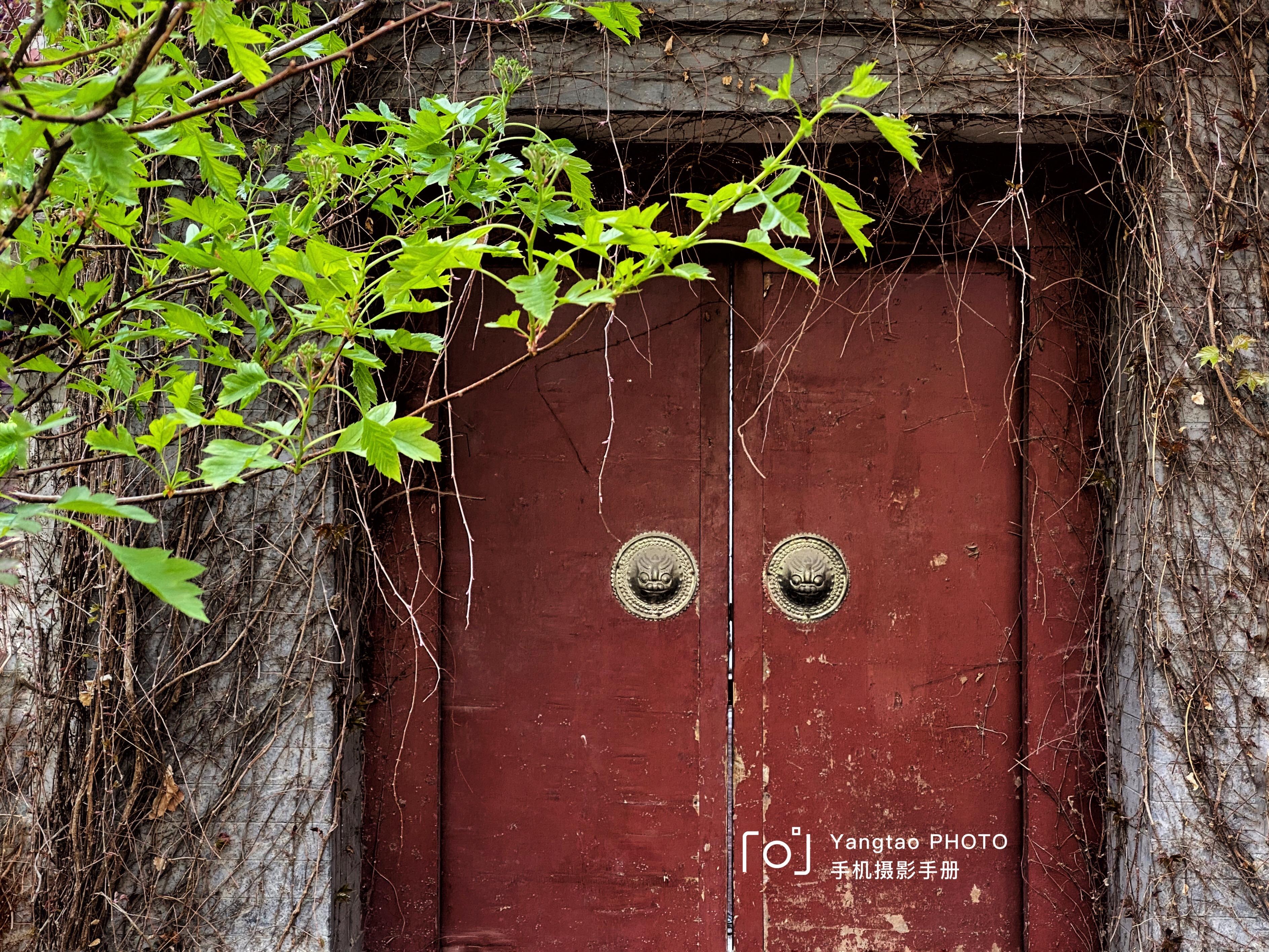 拍照教程教你如何拍出好看的照,教你4个技巧助你拍出光影美照