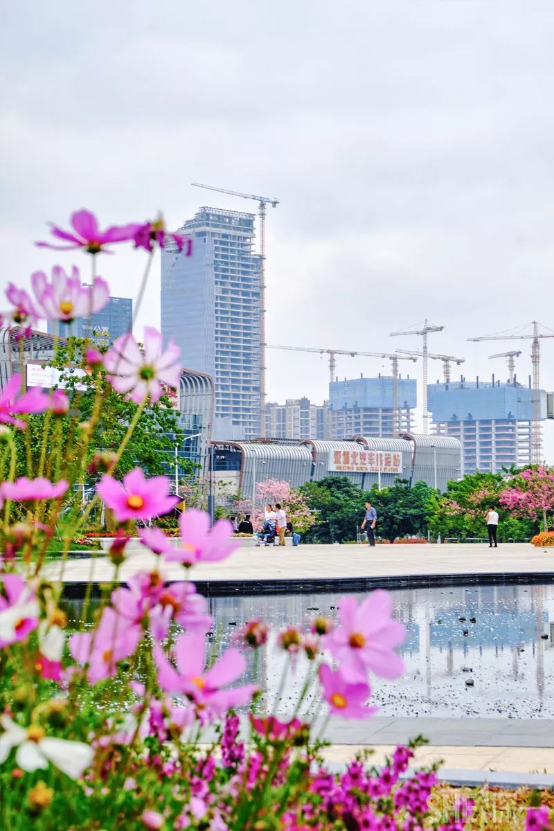 深圳龙华公园对外开放了吗,深圳市龙华新开的公园