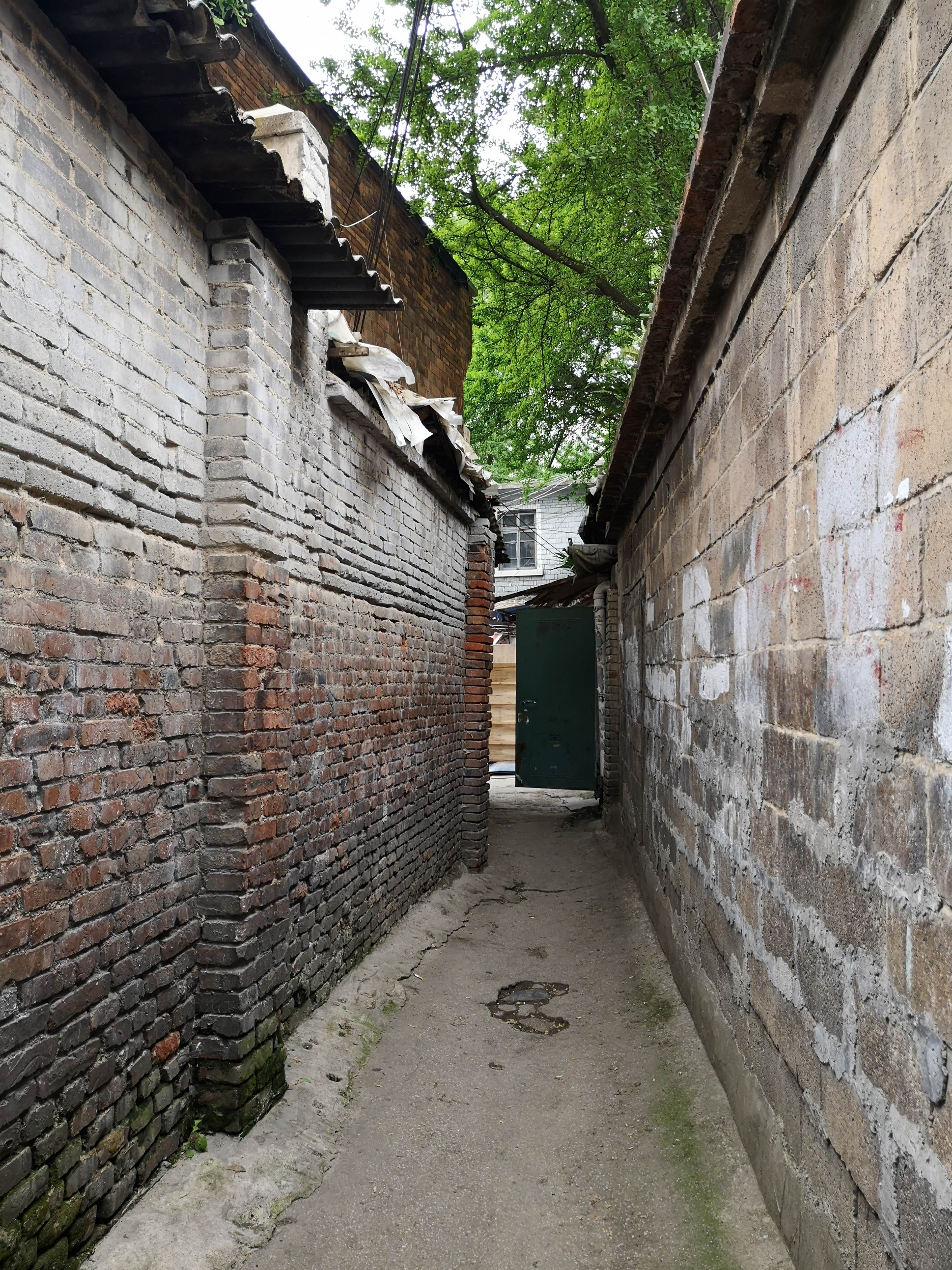 大营坡黄叶巷视频,贵阳老街巷之忠烈街