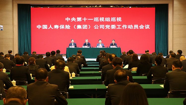 人寿保险的中国市场分析,中国人寿保险公司股票分析