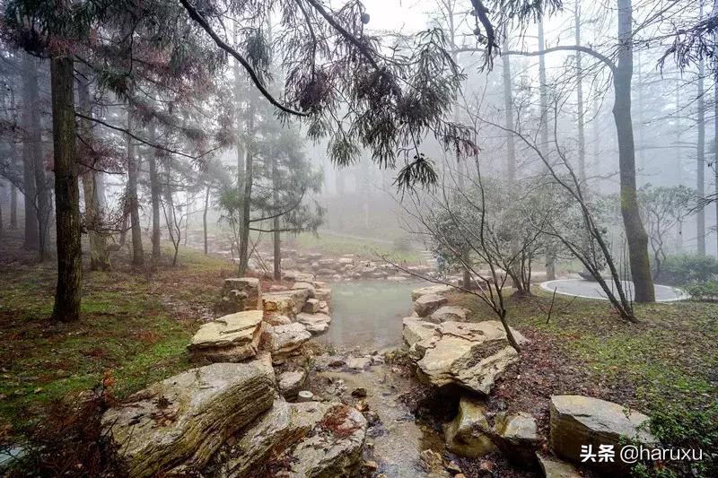 南方也能下雪吗,南方也能见到雪