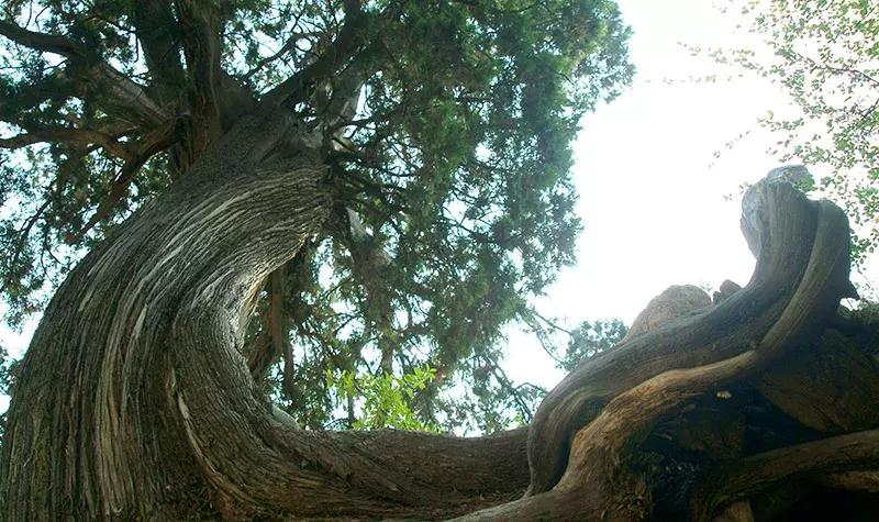 河北唐山市唐山站附近游玩,唐山周边游唐山站