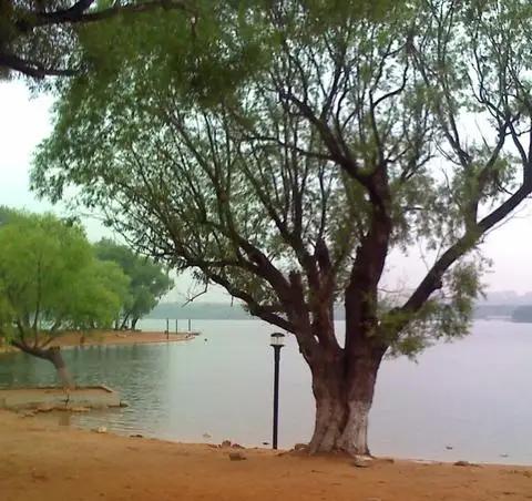 说说吉林省长春市的南湖公园……