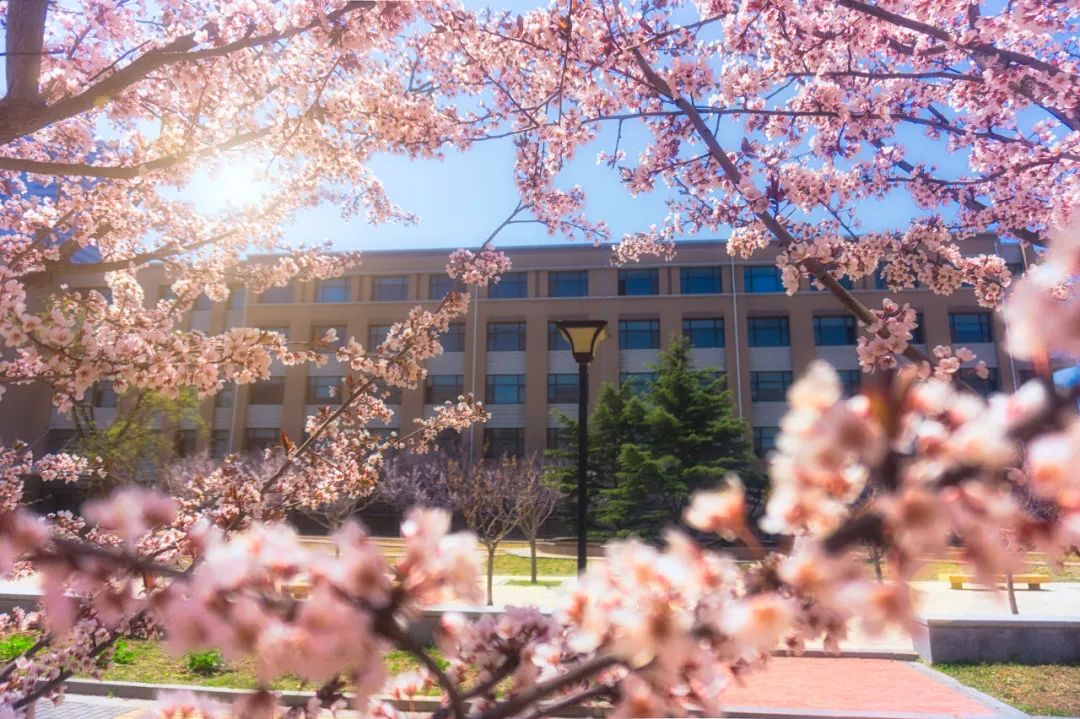 想去大连了,还有人想去大连吗