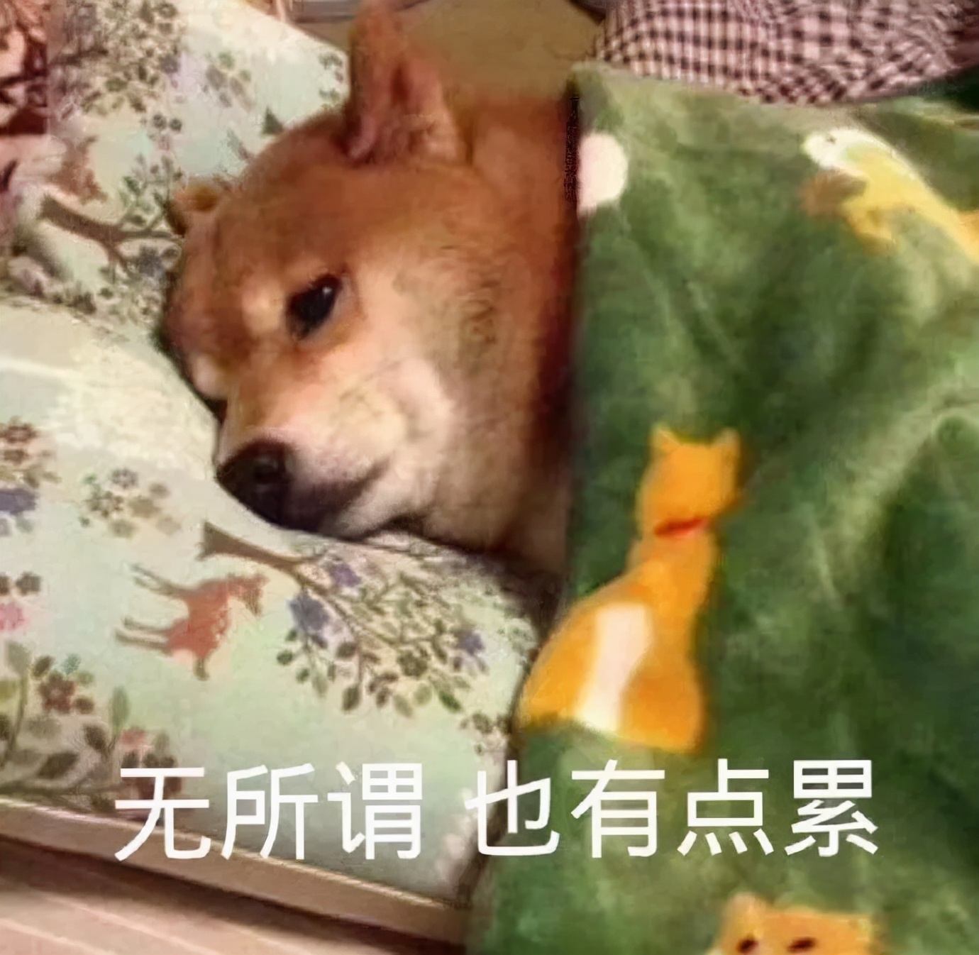 我找到了打败虚无感的方法