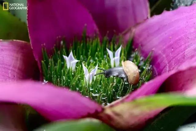 大家今年拍过最好看的照片,近期拍的最好看的照片