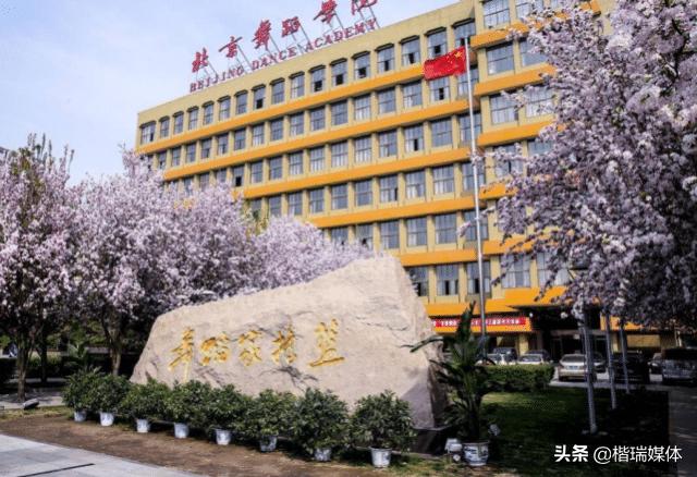 全国最袖珍大学排名,中国最小的大学校门