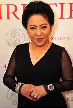 向太4亿戒指,众多明星对向太的评价