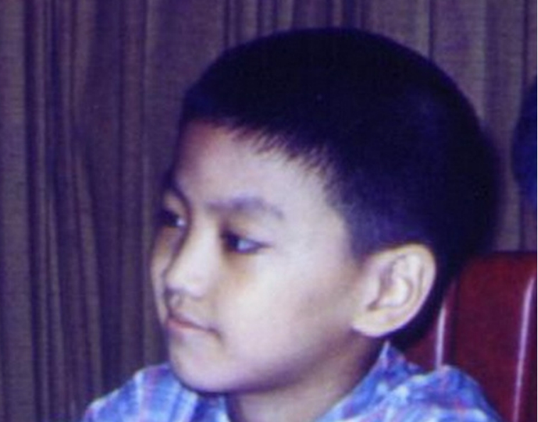 何家劲维他奶事件,何家劲维他奶