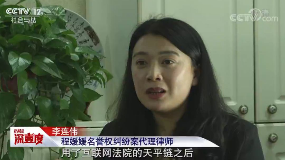 CCTV：互联网法院的互联网法治实践与电子证据IP360