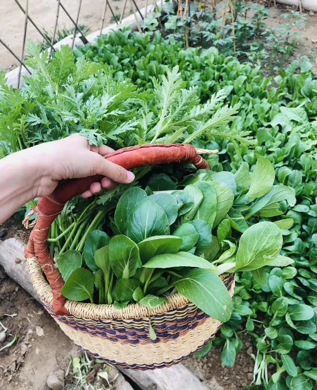 女明星生活费2万,上亿身家女明星日常