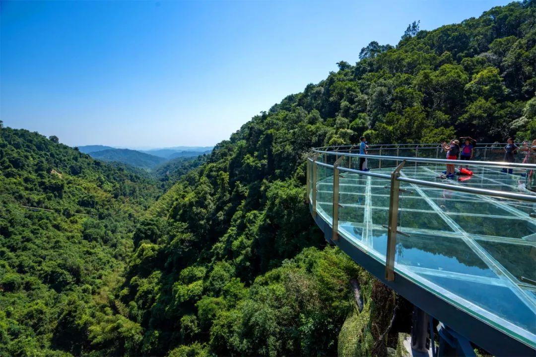 网红玻璃桥悬崖秋千,网红旅游打卡玻璃滑道