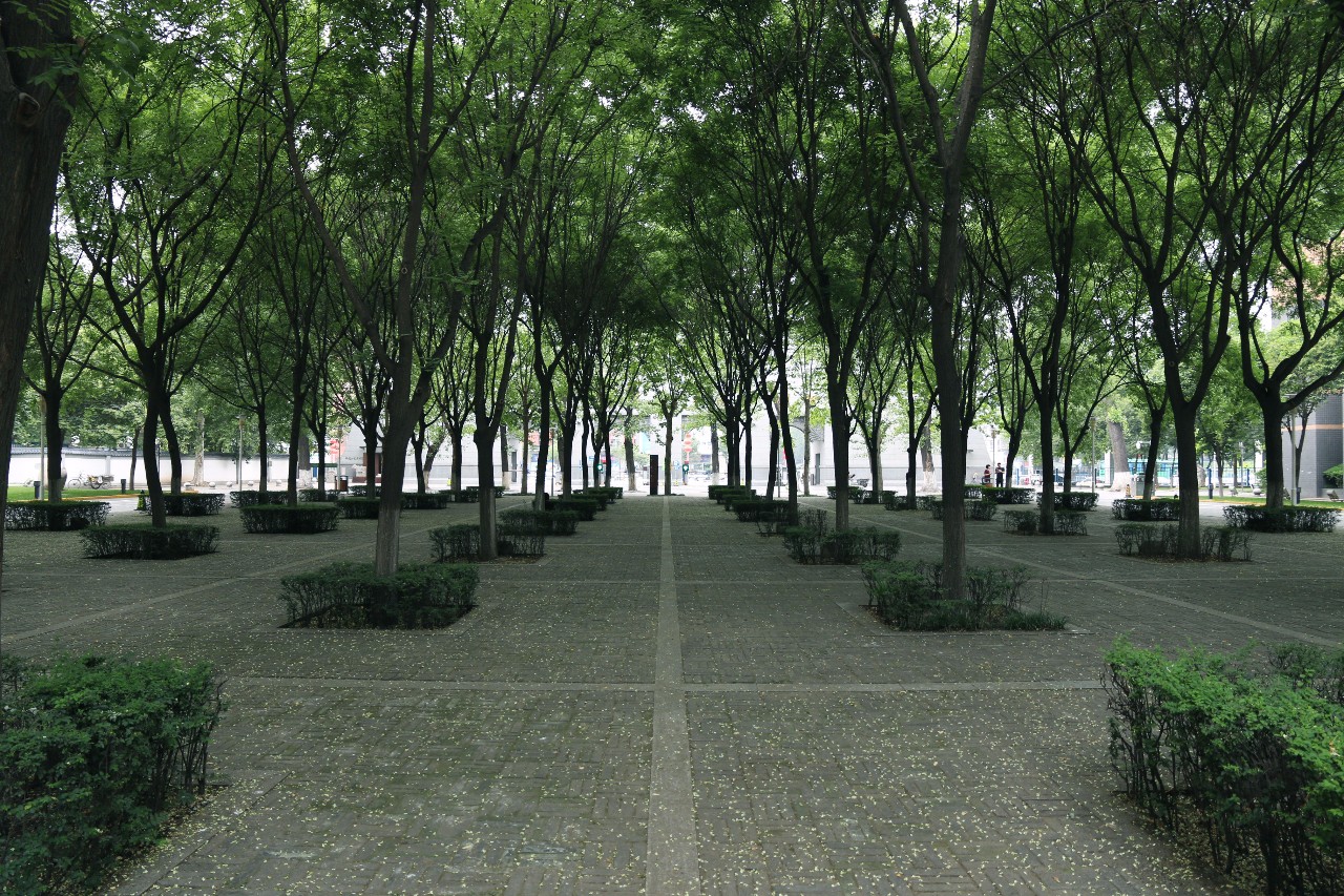 西安最被低估的大学西安工业大学,西安建筑科技大学实力怎么样