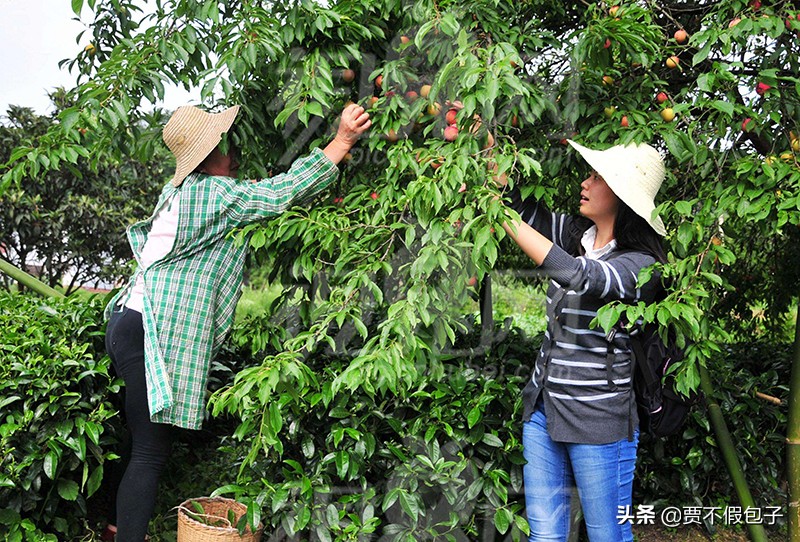 2020年最好的创业项目是哪些？让你走好创业第一步