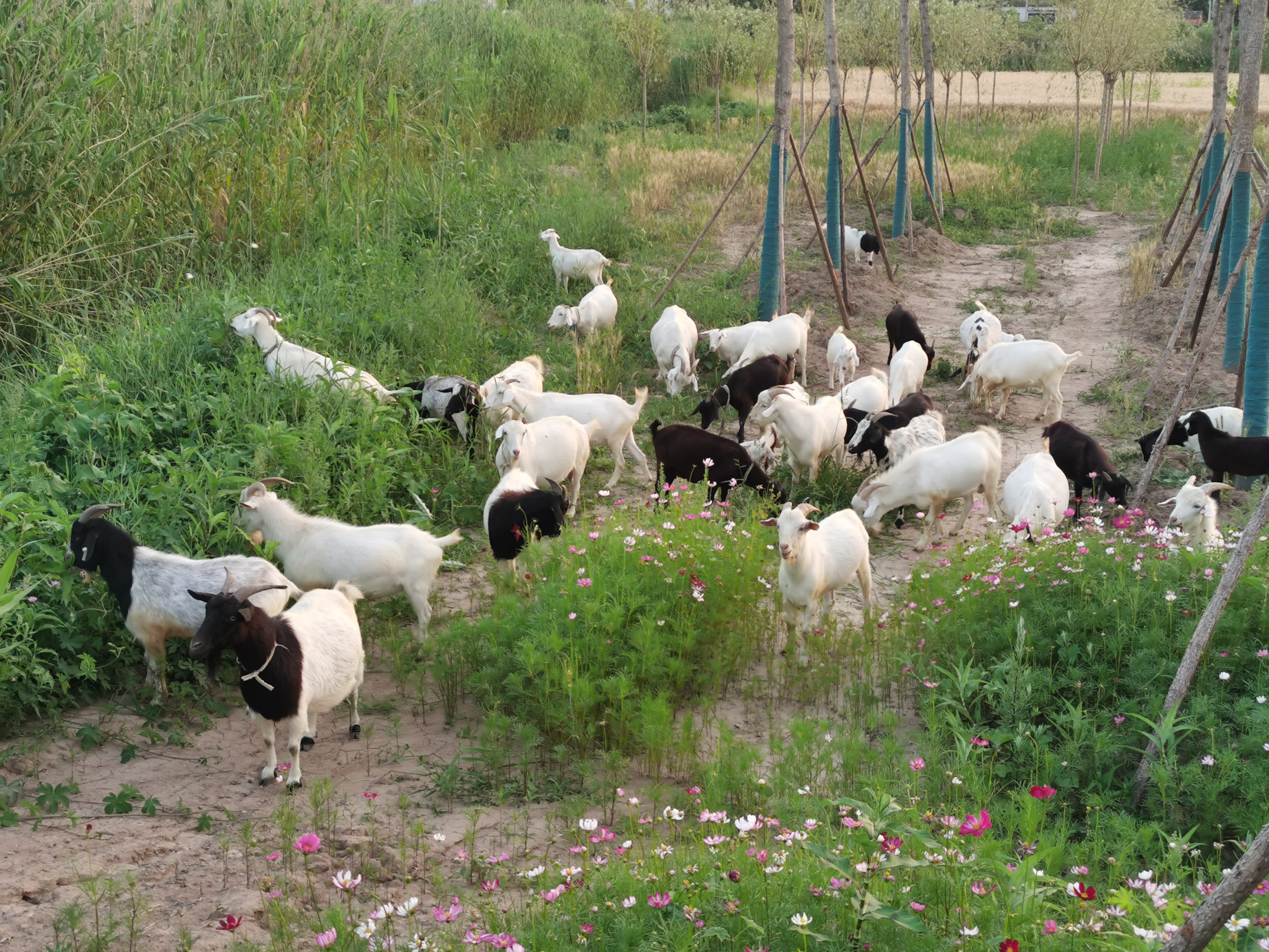 马鞍山风景名胜区,生态画卷美不胜收