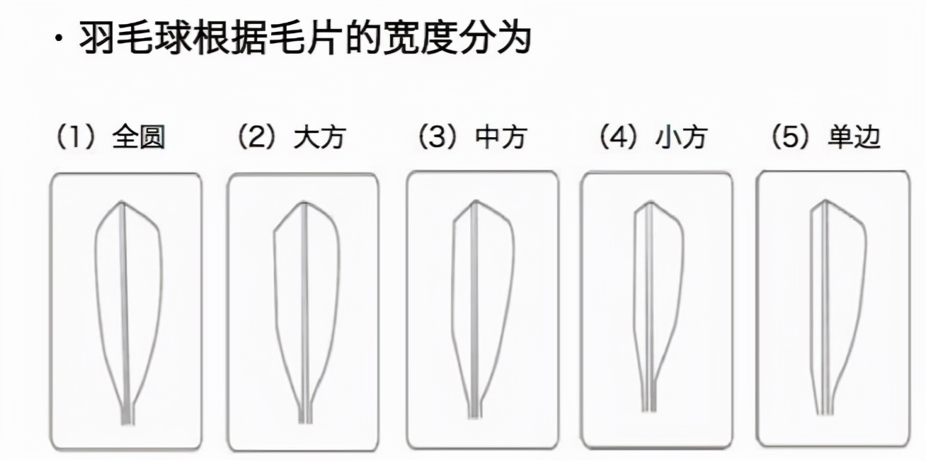 如何选择合适的羽毛球用球,如何选择正确的羽毛球