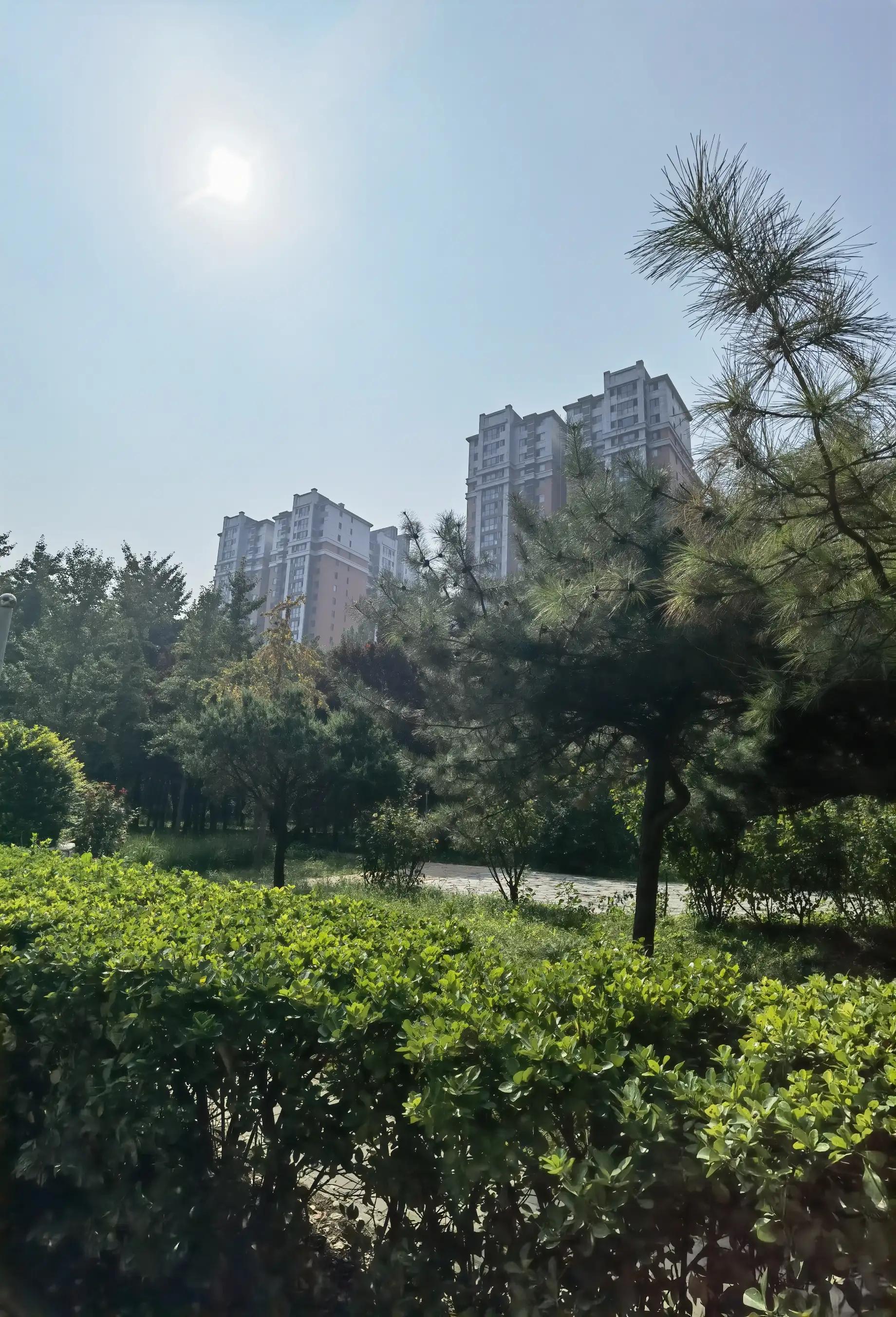 紫薇天悦北京全貌,北京朝阳区紫薇天悦