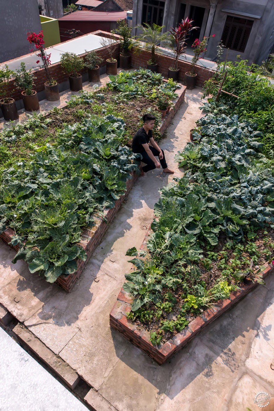 河内楼房红砖效果图,河内红砖墙效果图大全