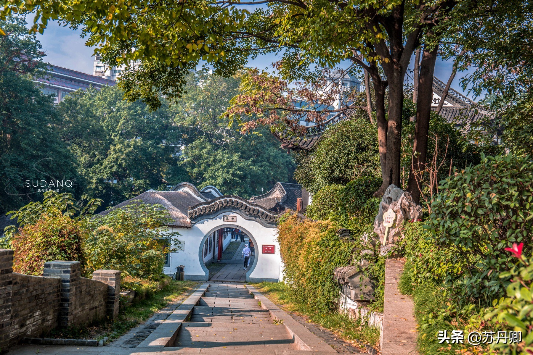 瘦西湖为什么出名,瘦西湖为什么值得游玩