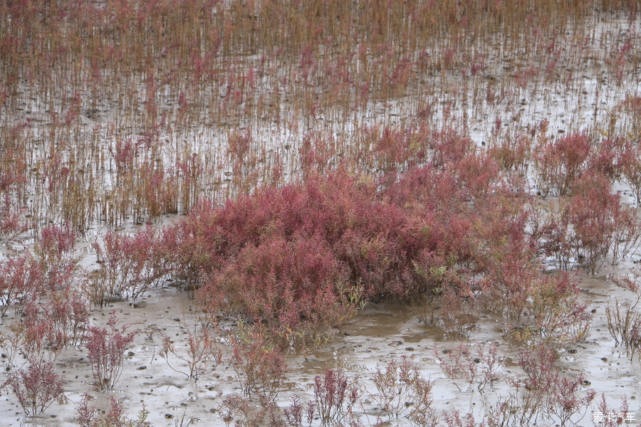 自驾囧途时刻,自驾游闯关东视频