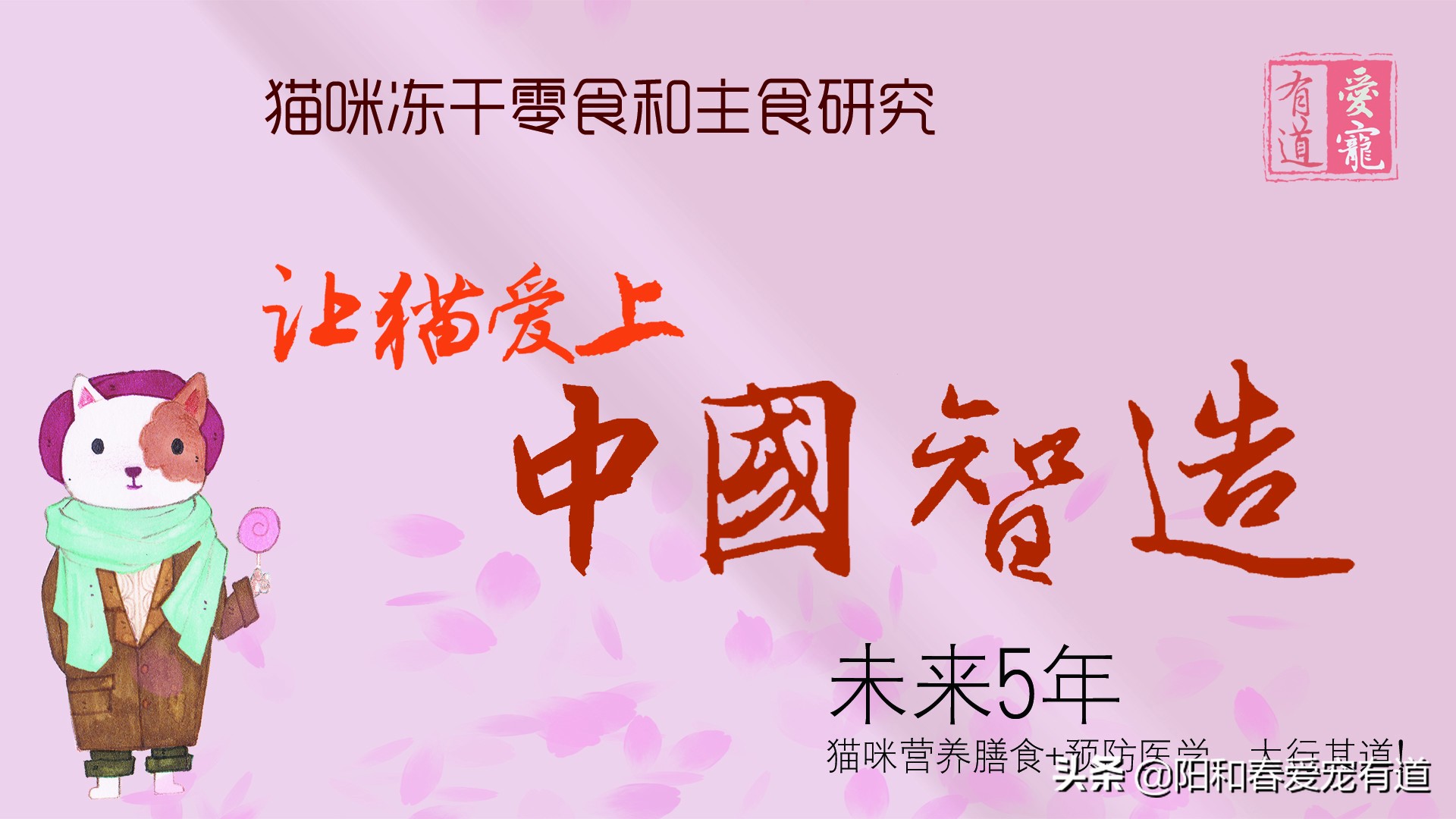 猫咪膀胱炎尿闭最佳治疗方法,猫膀胱炎尿道炎尿结石怎么区分