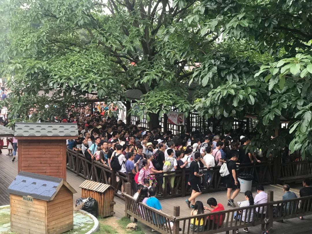 黄果树如何避开天星桥,一份详细的黄果树景区一日游攻略