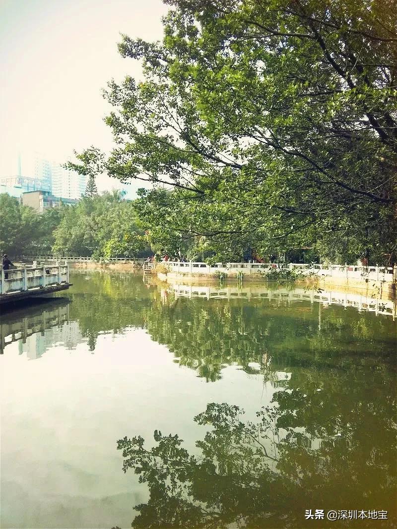 深圳免费的景点有哪些地方,深圳有哪些免费又好玩的地方景点