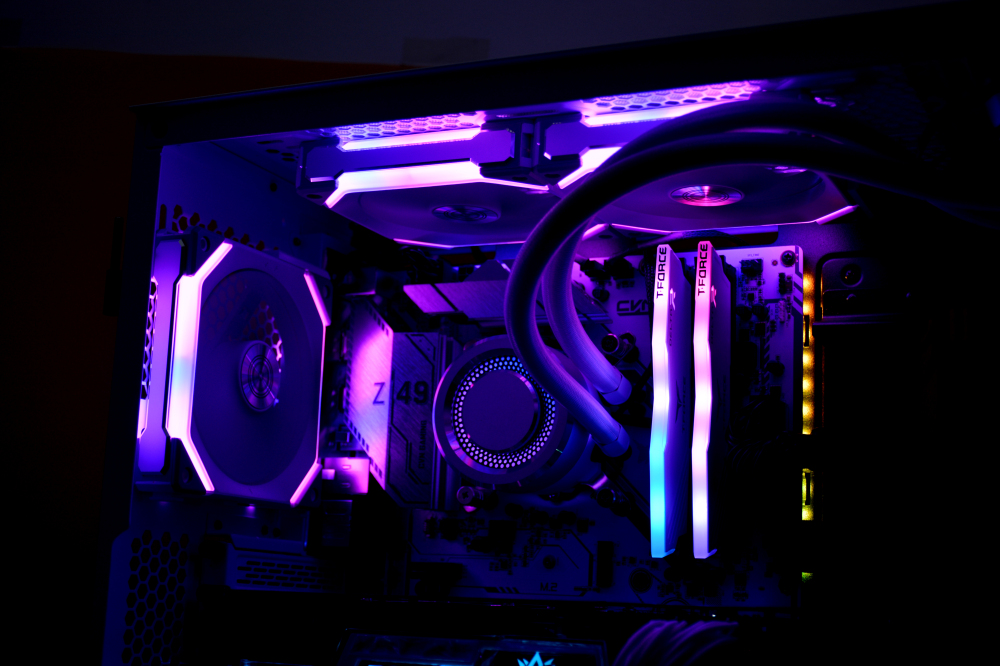 黑色星期五变装,黑色星期五变装hd版