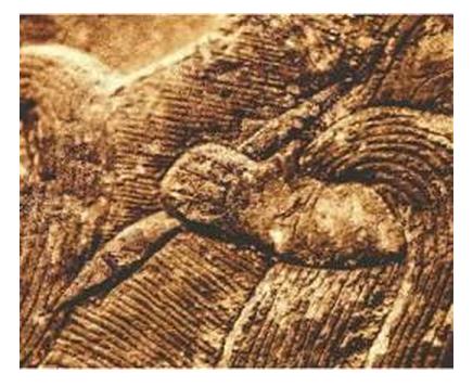 毛笔书法握笔姿势教学视频,毛笔的握笔姿势视频免费观看